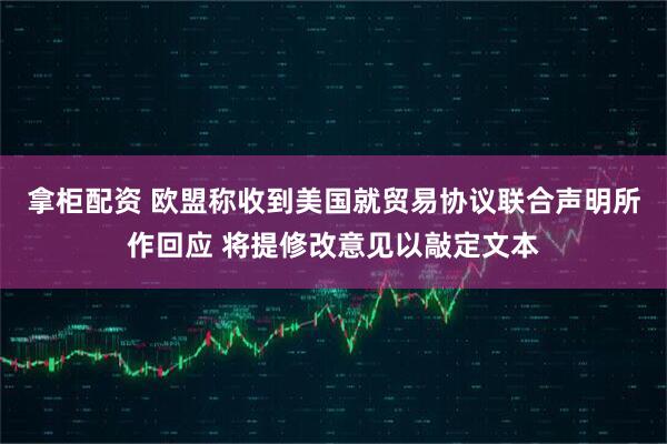 拿柜配资 欧盟称收到美国就贸易协议联合声明所作回应 将提修改意见以敲定文本