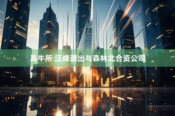 真牛所 汪峰退出与森林北合资公司